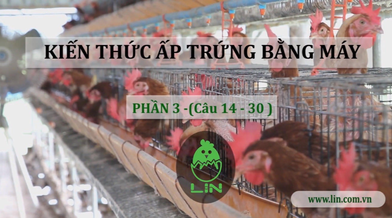 Kien Thuc Ap Trung Bang May Phan3